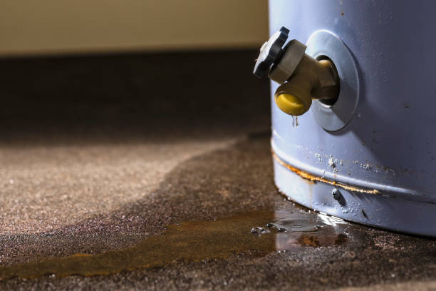 Best Flood restoration services  in Jeffersonville, OH