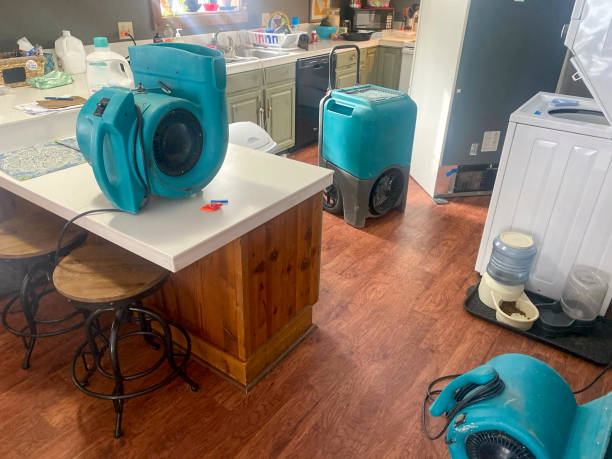 Best Water damage restoration mold remediation  in Jeffersonville, OH