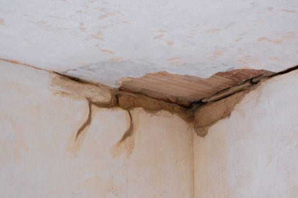 Best Basement water damage restoration  in Jeffersonville, OH