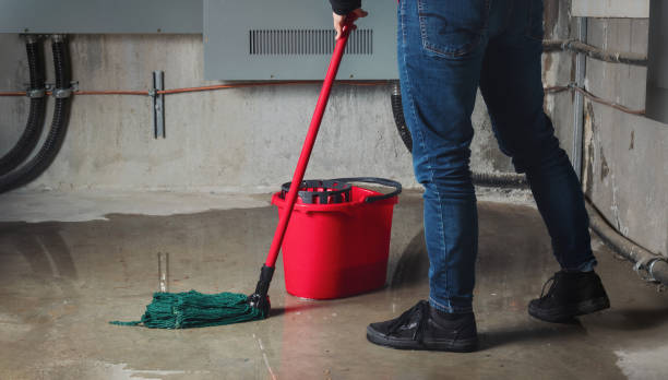 Best Flooded house restoration  in Jeffersonville, OH