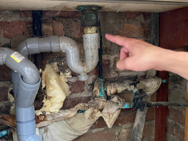 Best Mold removal after water damage  in Jeffersonville, OH