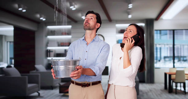Best Water damage restoration experts  in Jeffersonville, OH